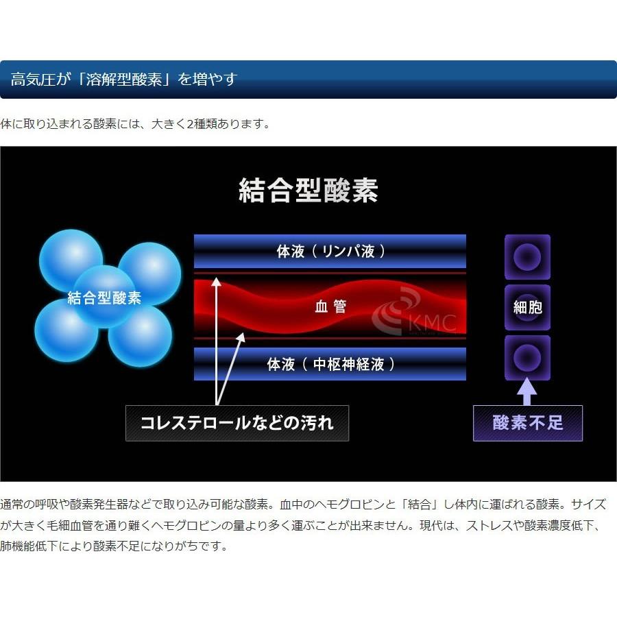 ハイスペック 酸素カプセル OXYRIUM MEDICAL オキシリウム ハイスペック 酸素カプセル OXYRIUM MEDICAL オキシリウム