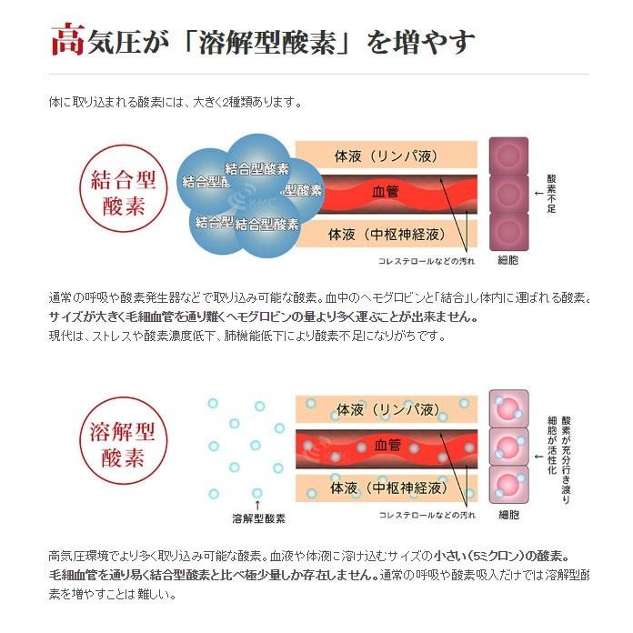 家庭用 酸素カプセル ANION O2 アニオンO2 マイナスイオン機能付き ブラウン＆アイボリー 1.23気圧 ソフトタイプ 酸素発生器接続可能の画像