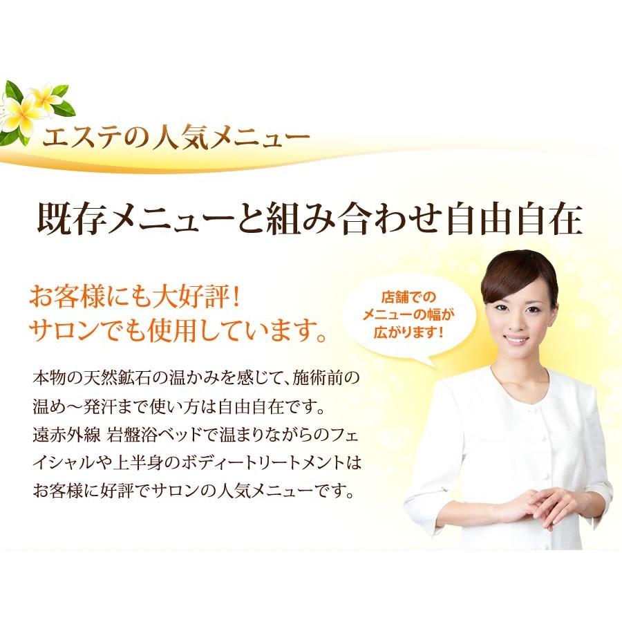 NATURAL SPA 遠赤外線 岩盤浴ベッド100V ご家庭〜業務用対応の画像