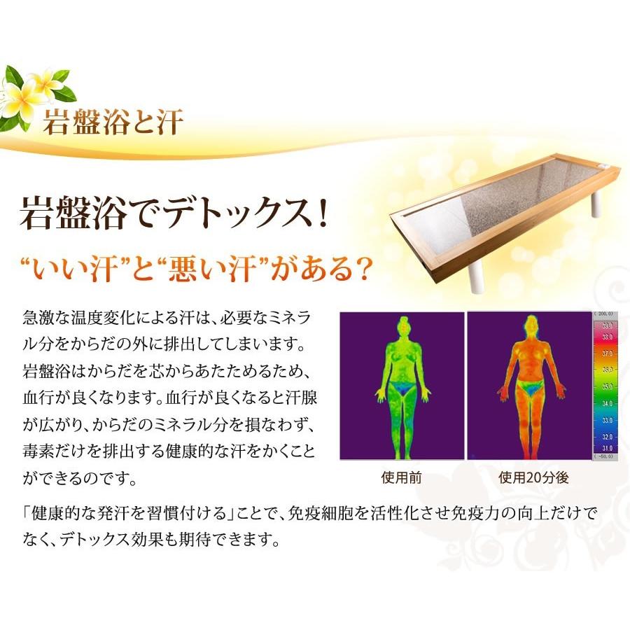 NATURAL SPA 遠赤外線 岩盤浴ベッド100V ご家庭〜業務用対応 NATURAL SPA 遠赤外線 岩盤浴ベッド100V ご家庭〜業務用対応