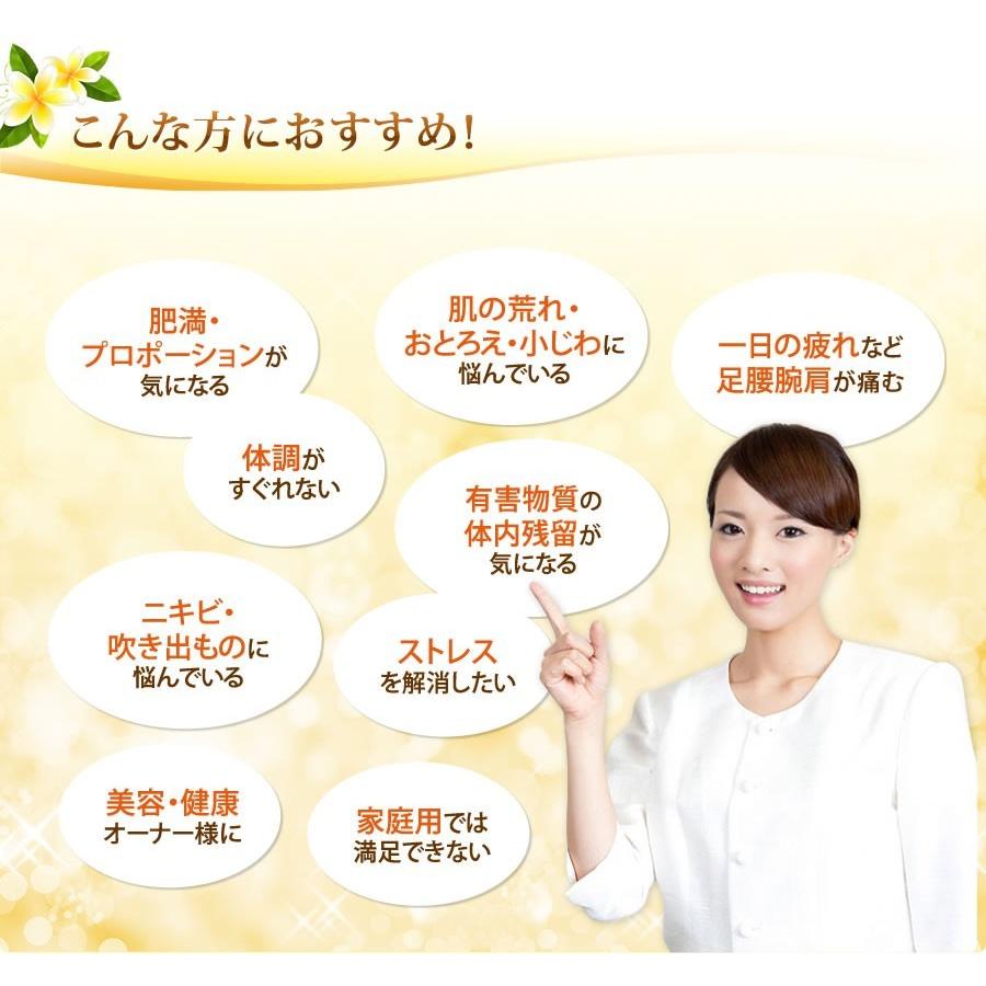 NATURAL SPA 遠赤外線 岩盤浴ベッド100V ご家庭〜業務用対応の画像
