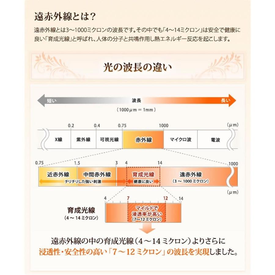 NATURAL SPA 遠赤外線 岩盤浴ベッド100V ご家庭〜業務用対応の画像