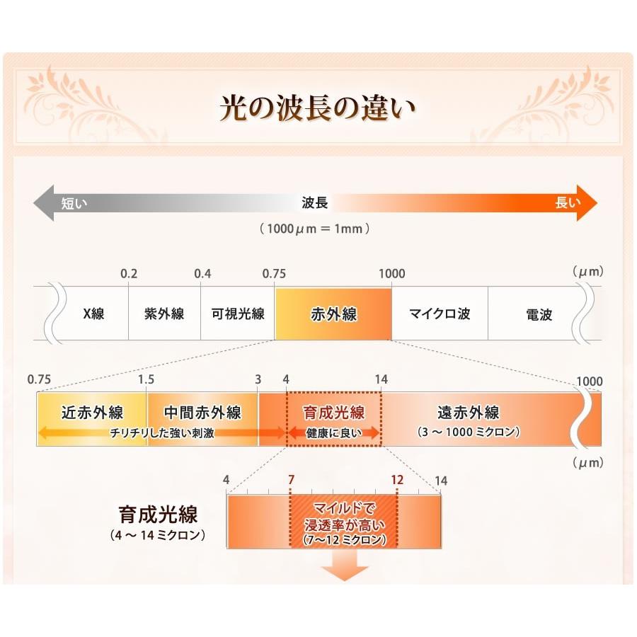 日本製】遠赤外線ドームサウナ プロフェッショナル 100V ご家庭〜業務