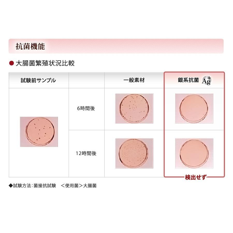 日本製】遠赤外線ドームサウナ プロフェッショナル PLUS 100Vご家庭