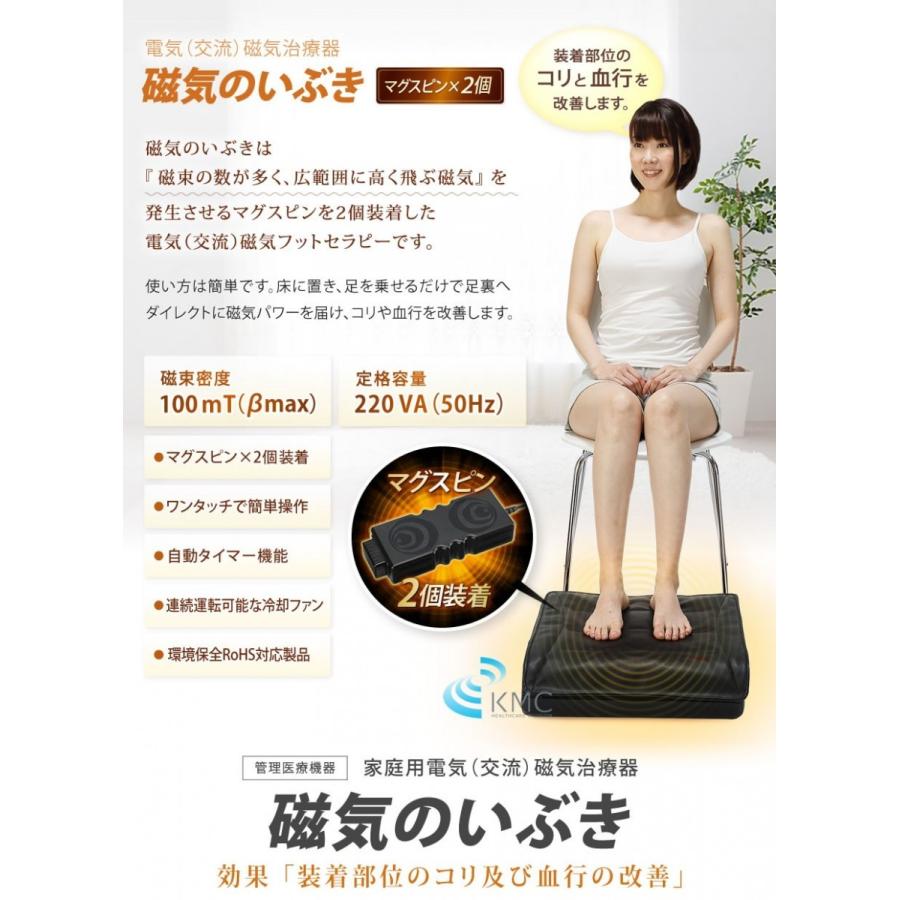 交流磁気治療器 交流磁気治療器 リラクゼーションパークS | 株式会社サン・マルタカ