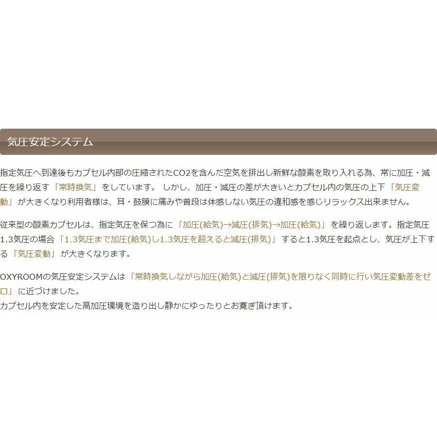 ルーム型 酸素カプセル OXYROOM（オキシルーム）1‐2人用ハード・業務ユース対応モデル 酸素ルームの画像