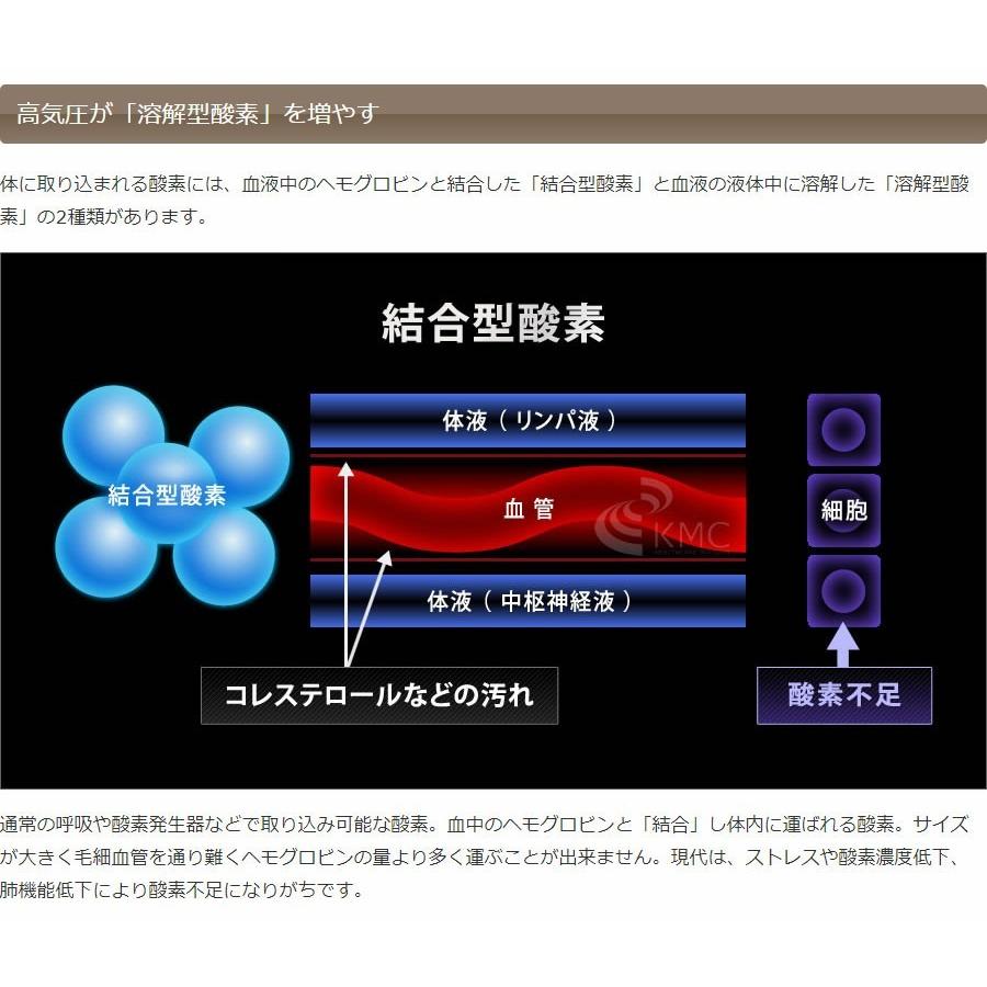 ルーム型 酸素カプセル OXYROOM（オキシルーム）1‐2人用ハード・業務ユース対応モデル 酸素ルームの画像