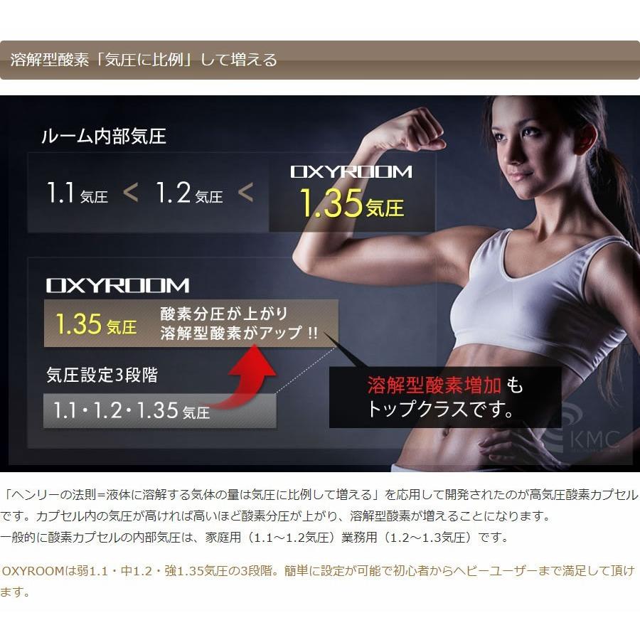 酸素カプセル(ハードタイプ) 価格等相談可能 販売でなく低価格で