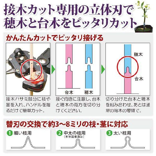 接木ハサミ（切り接ぎ職人ＤＸ）｜kmmnetshop｜03