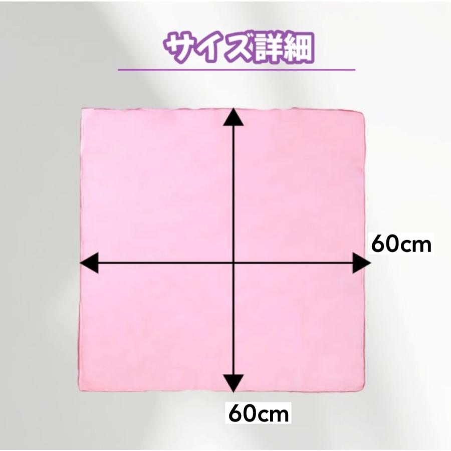 リトミックスカーフ 10色セット オーガンジー シフォン 知育玩具 保育
