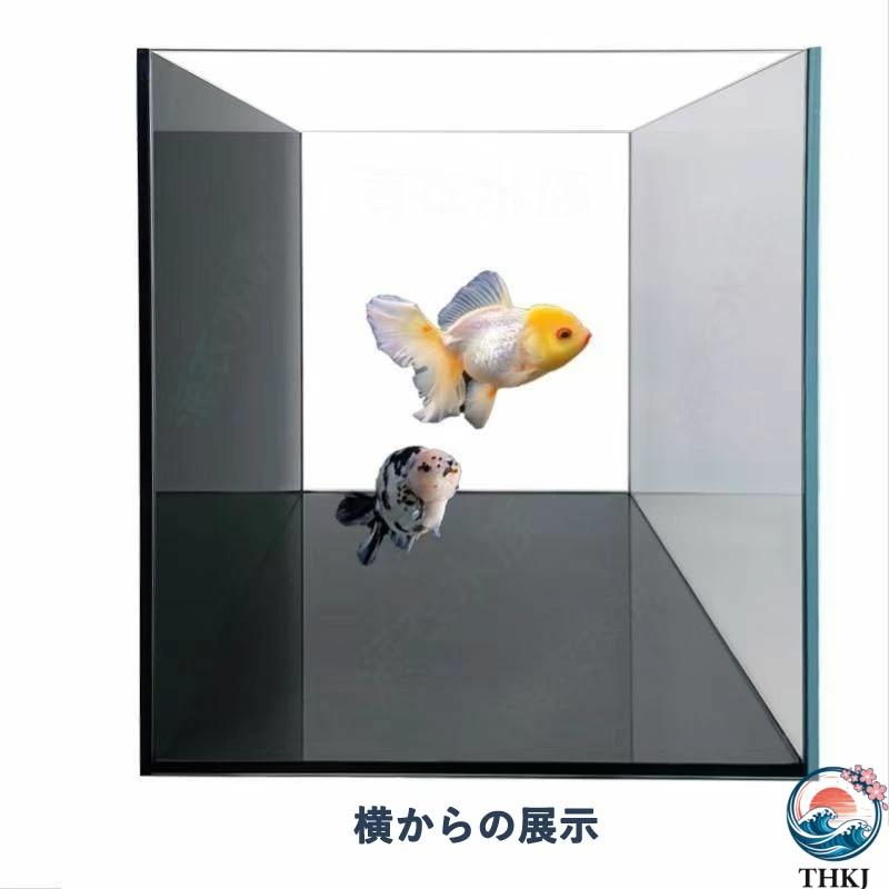 黒背景 ベタ水槽 おしゃれ クリアガラス 飼育用ベタ 金魚 熱帯魚 小型 
