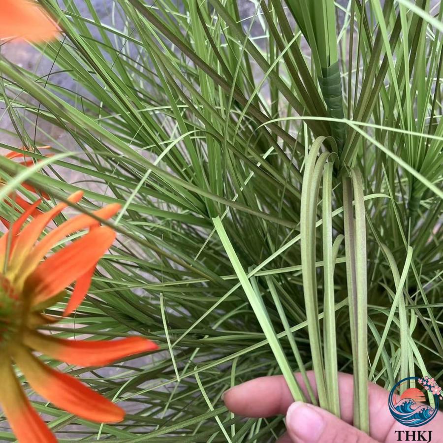 大型観葉植物 コンラン菊 130cm フェイク フェイクグリーン 造花 菊 キク THKJ 人工観葉植物 水やり不要 虫害の心配なし 簡単世話いらず お手入れ簡単の画像