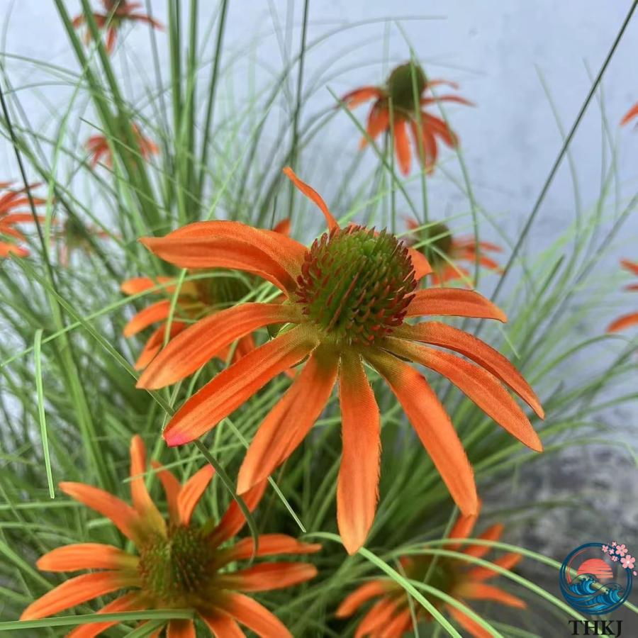 大型観葉植物 コンラン菊 130cm フェイク フェイクグリーン 造花 菊 キク THKJ 人工観葉植物 水やり不要 虫害の心配なし 簡単世話いらず お手入れ簡単の画像