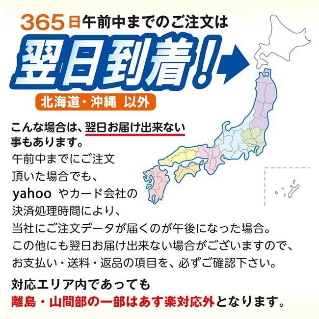 あすつく】【全国送料無料】【日本製】 H4370 あおい ソーイング