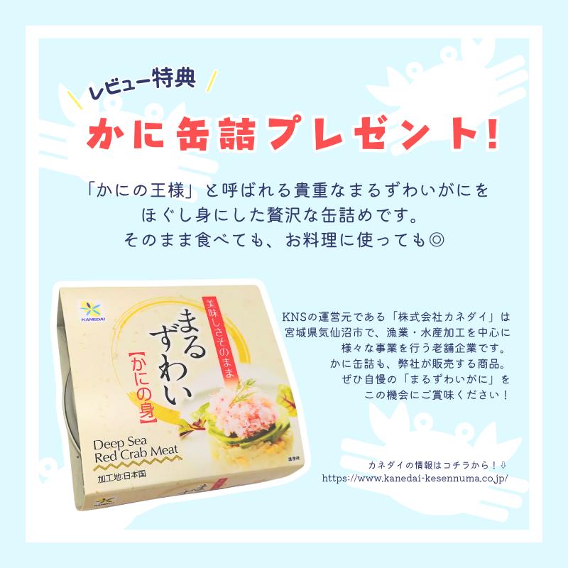 ＊ ご確認用 １２ ＊ 2025年製造品】 長期5年保証 ガス漏れ警報器 YF-814 (12.13A