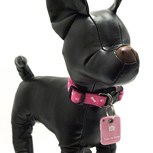 世界有名な 首輪 ハーネス リード 犬鑑札が入る迷子札 ネイビー Pappira Com