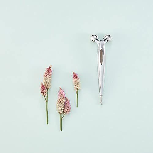 ReFa(リファ) ReFa S CARAT RAY 単品 35グラム (x 1) ReFa