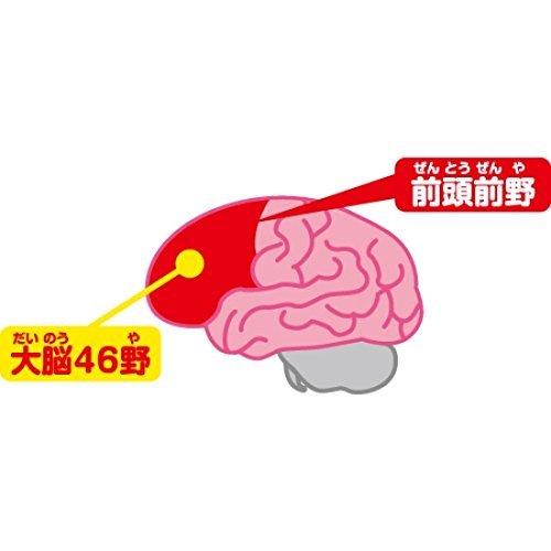 アンパンマン レッツゴー! 育脳ドライブ きみものれるよ! アンパンマンごう 