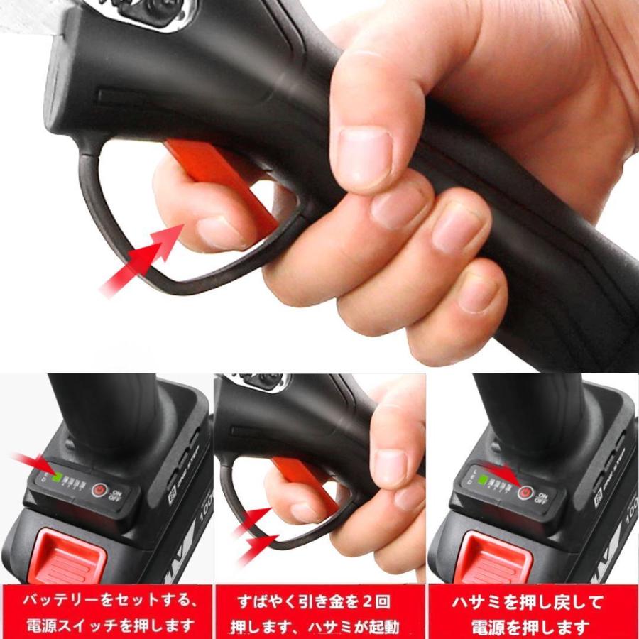 最適な材料 電動剪定ばさみ 充電式 充電器付 セット コードレス 1年保証 最安値挑戦 Nicmosul Org