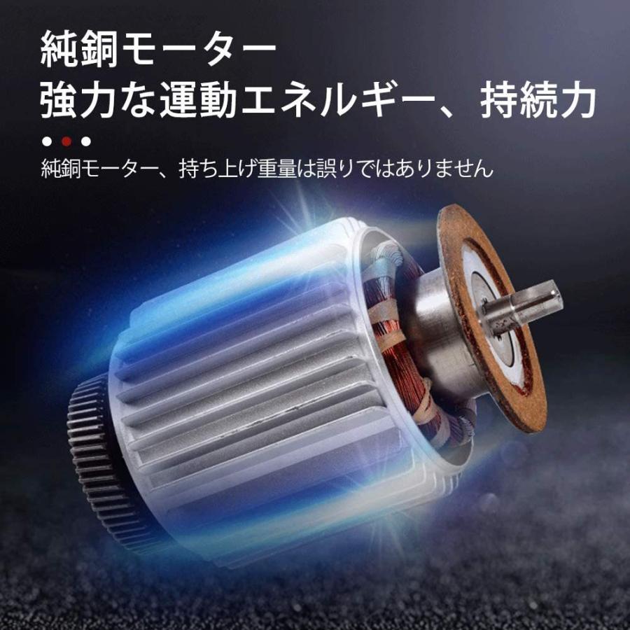 電動ウインチ 100V ホイスト 最大400kg 家庭用 クレーン 電源ケーブル