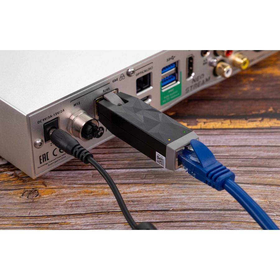 iFi audio（アイファイオーディオ） LAN iSilencer (ラン アイ