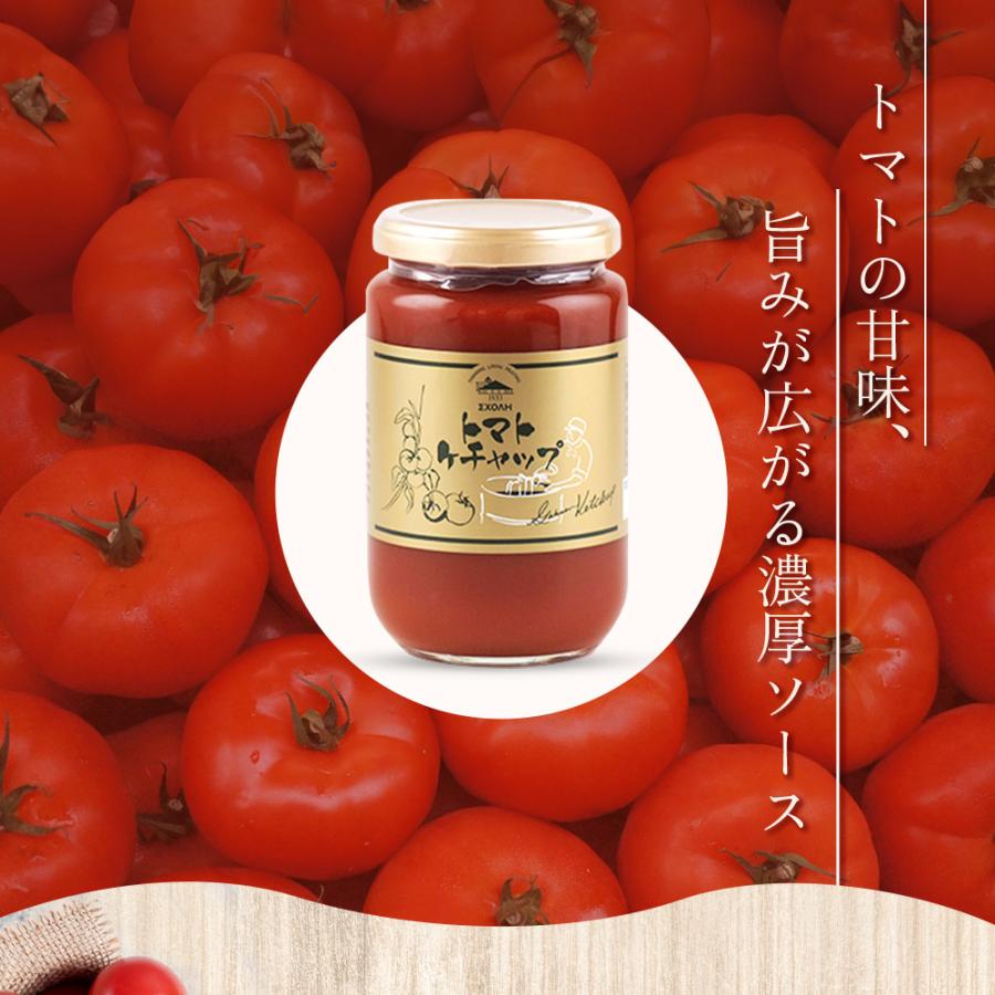 トマトケチャップ 370g(瓶入り)×6本セット スコーレ ご当地グルメ 学園