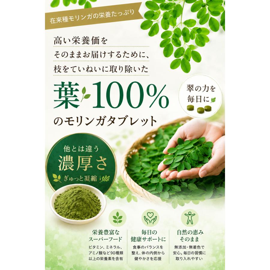 有機 モリンガタブレット (200mg x 300粒) 自然栽培 無添加 フィリピン