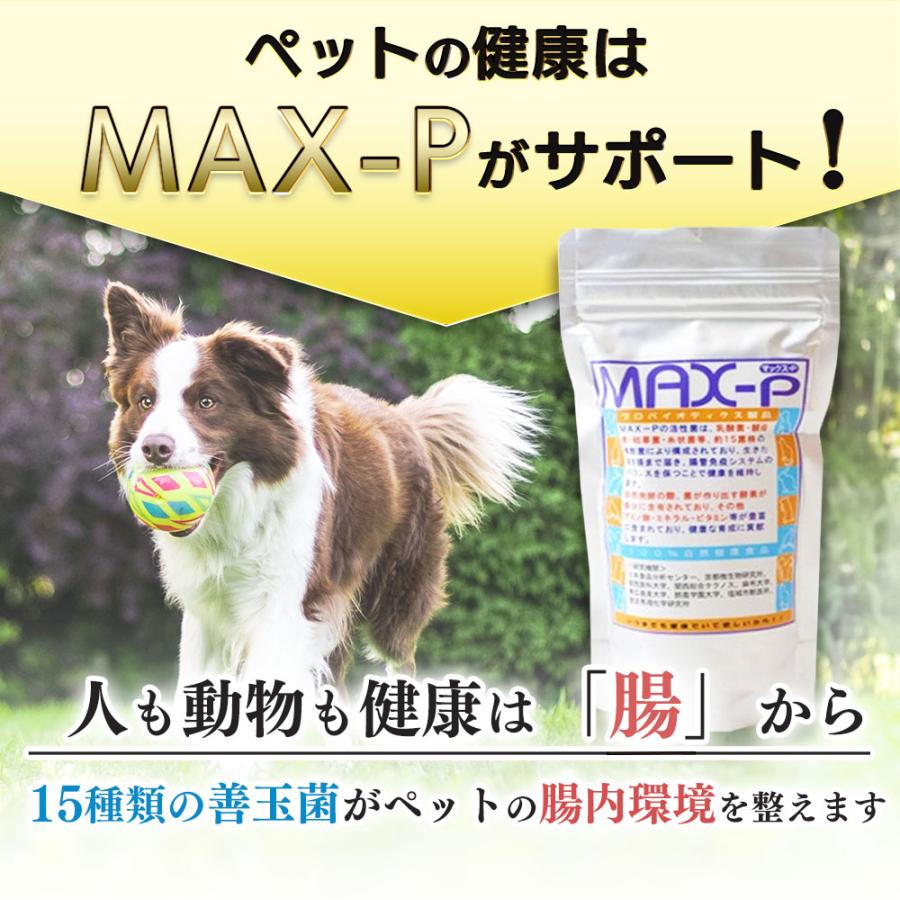 MAX-PROBIO ペット用整腸食品 MAX-P 100g 腸内環境 ペット 健康 犬 いぬ 猫 ねこ ネコ ウサギ 小鳥 ハムスター 熱帯魚 にも｜knistore｜03