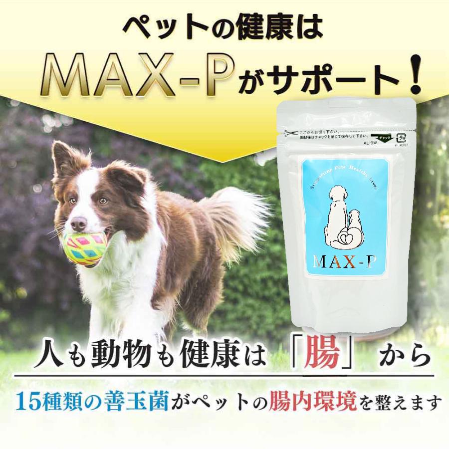 ✨犬猫用 腸内環境を整えニオイ軽減✨ワンダードリーム プロキュア 60g×２袋✨ ✨犬猫用 腸内環境を整えニオイ軽減✨ワンダードリーム プロキュア 60g