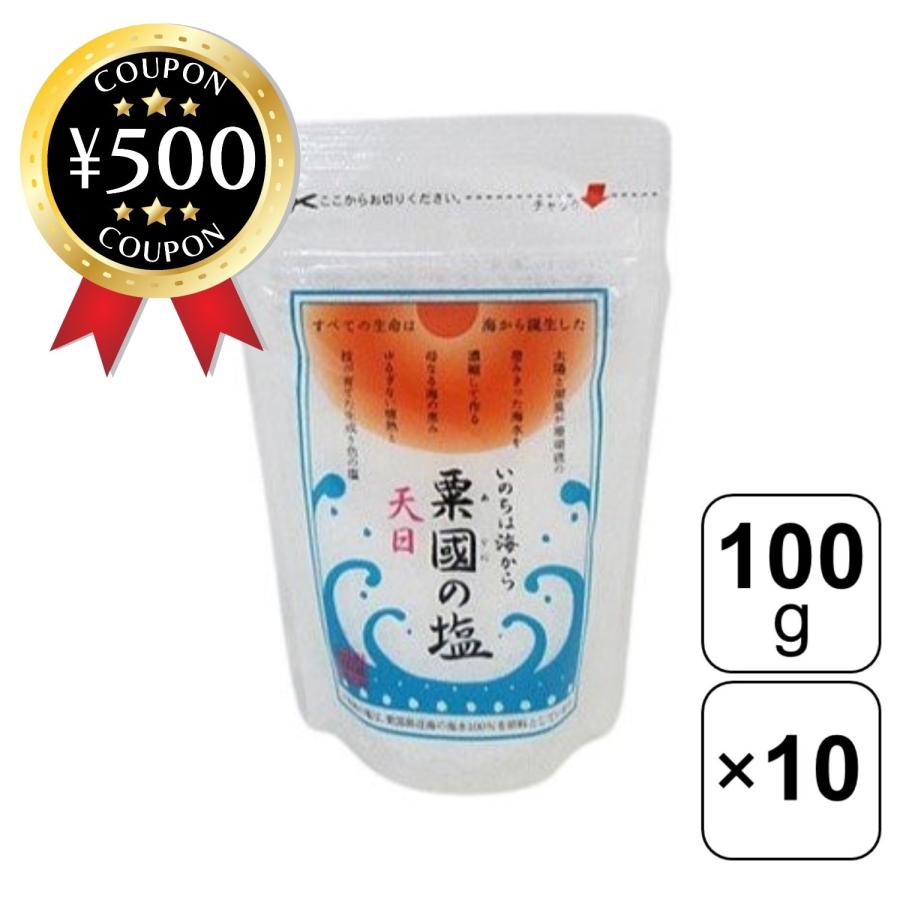 沖縄海塩研究所 粟國の塩 あぐにのしお 天日塩 100g×10袋 沖縄 粟国島