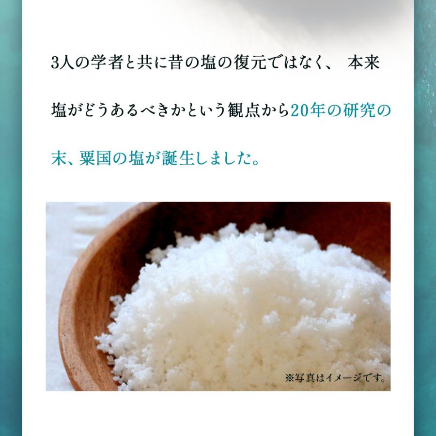 沖縄海塩研究所 粟國の塩 あぐにのしお 天日塩 100g×10袋 沖縄 粟国島