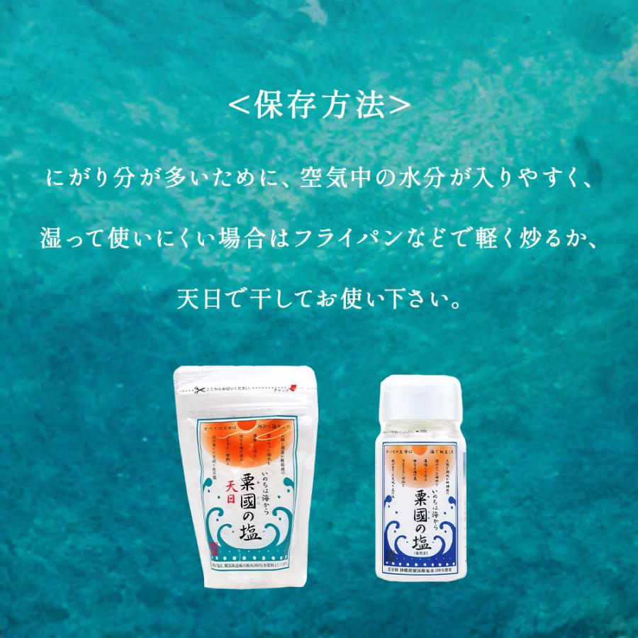 沖縄海塩研究所 粟國の塩 あぐにのしお 天日塩 100g×10袋 沖縄 粟国島