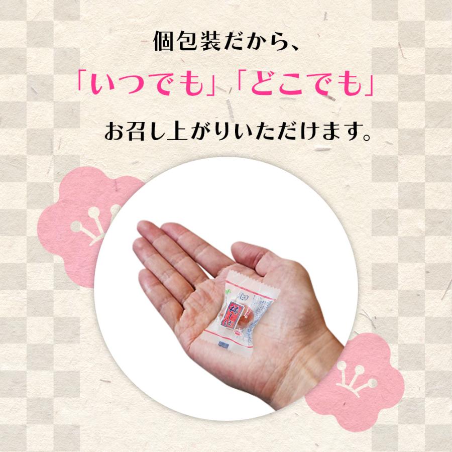 村岡食品 梅しば 徳用袋 2kg 業務用 青梅 カリカリ梅 国内製造 梅 うめ