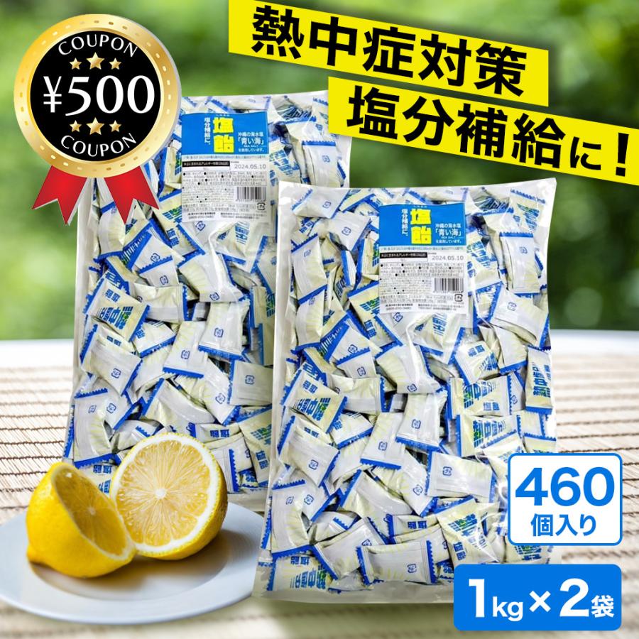 塩飴 業務用 1kg×2袋セット レモン風味 熱中症 業務用サイズ 大容量 塩分補給 夏 塩 青い海使用 小分け袋5枚付き 栄光堂ファクトリー ポイント利用 の商品画像