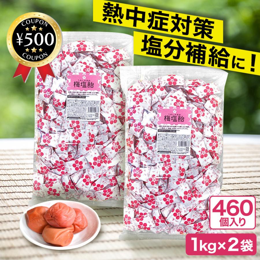 【ケース販売】　栄光堂ファクトリー 梅塩飴1㎏　熱中症対策　塩分補給　塩飴 栄光堂 熱中症対策 塩飴 梅塩飴 2kg 業務用サイズ 大容量 塩分補給