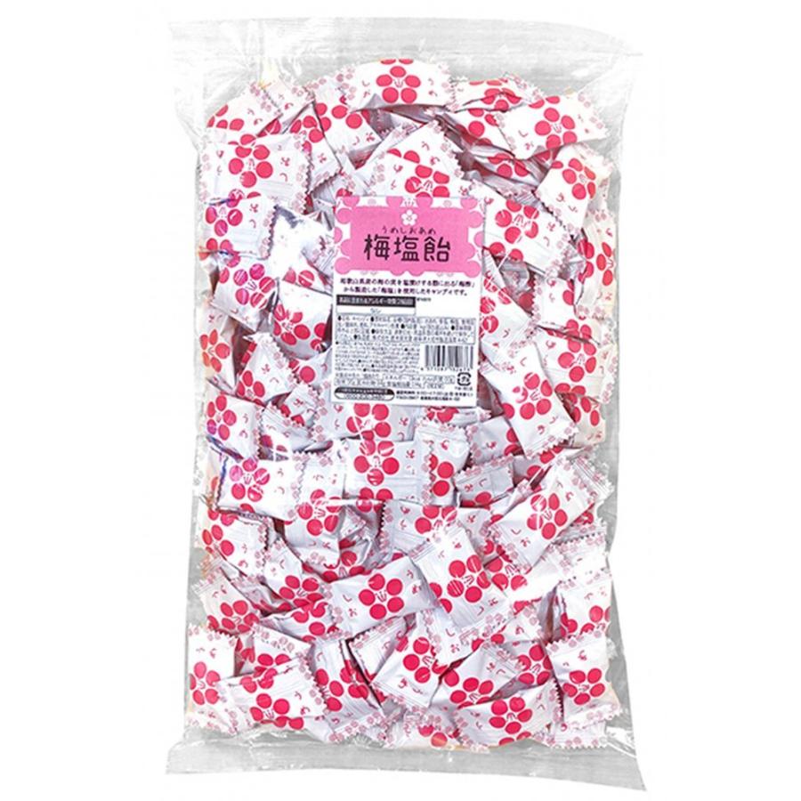 【ケース販売】　栄光堂ファクトリー 梅塩飴1㎏　熱中症対策　塩分補給　塩飴 栄光堂 熱中症対策 塩飴 梅塩飴 2kg 業務用サイズ 大容量 塩分補給