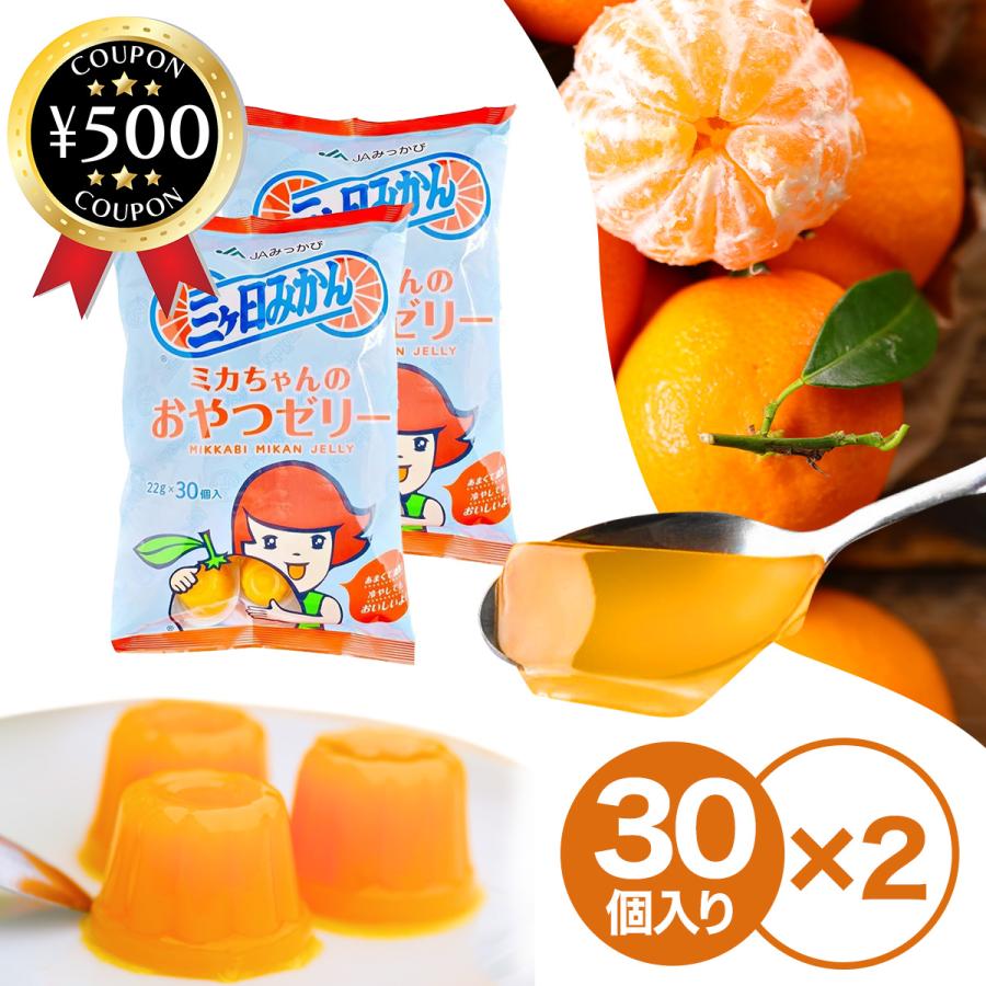 三ヶ日町農業協同組合 ミカちゃんのおやつゼリー 30個×2袋セット JA