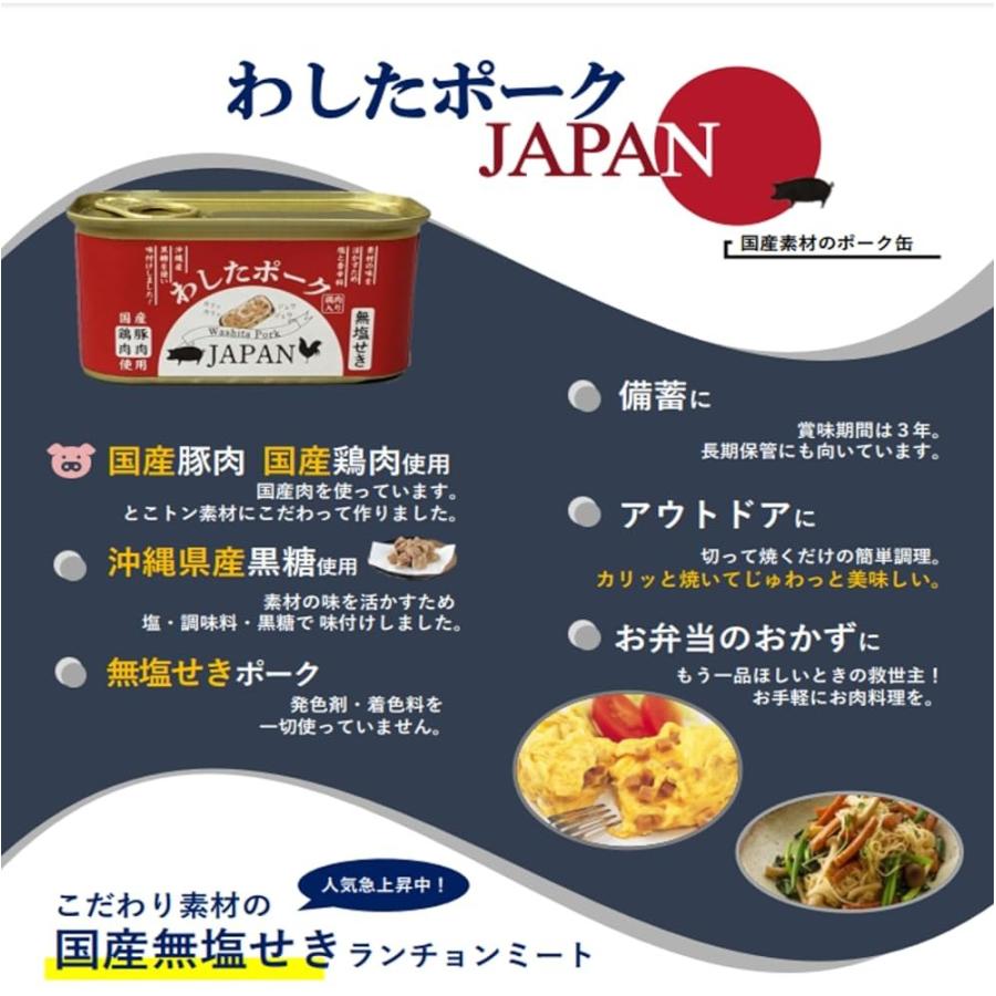 沖縄県物産公社 わしたポークJAPAN 200g×4缶 国産 鶏肉 豚肉 塩 香辛料