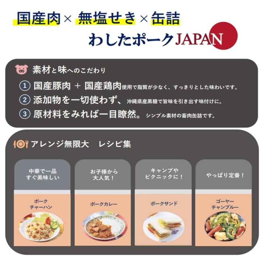 沖縄県物産公社 わしたポークJAPAN 200g×4缶 国産 鶏肉 豚肉 塩 香辛料