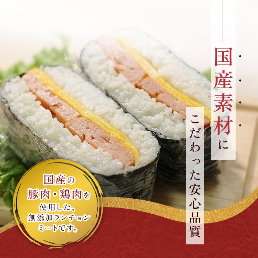 沖縄県物産公社 わしたポークJAPAN 200g×4缶 国産 鶏肉 豚肉 塩 香辛料