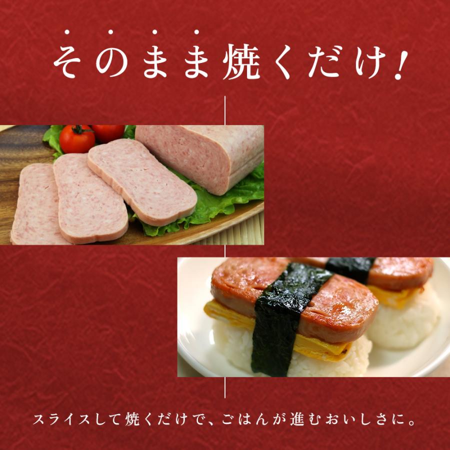 沖縄県物産公社 わしたポークJAPAN 200g×4缶 国産 鶏肉 豚肉 塩 香辛料