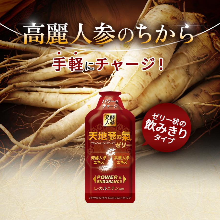 天地蔘の氣ゼリー 45g×6本セット 韓国 高麗人参 発酵人蔘エキス 高麗
