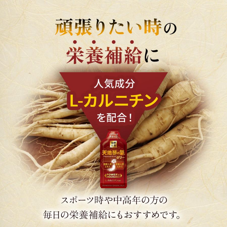 天地蔘の氣ゼリー 45g×6本セット 韓国 高麗人参 発酵人蔘エキス 高麗