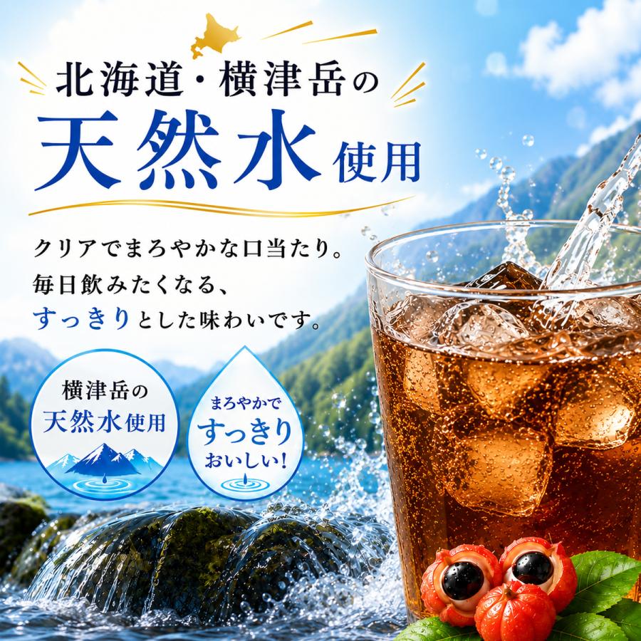 小原 コアップガラナ コアップ ガラナZERO 500ml×12本セット PET