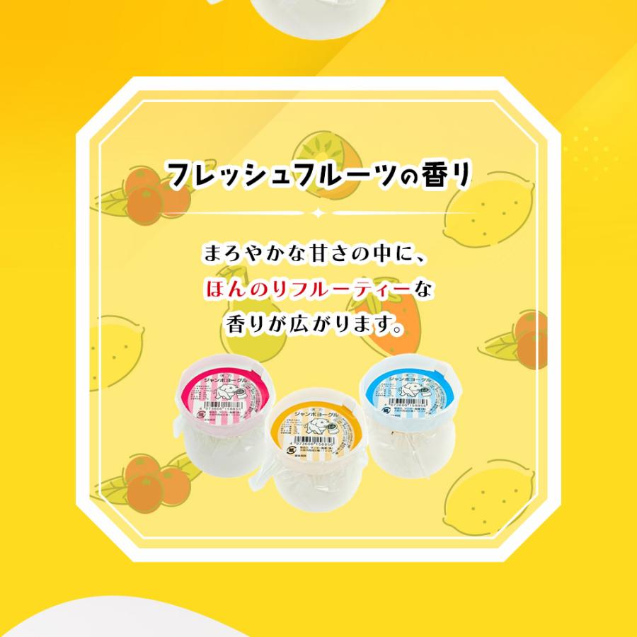 モロッコヨーグル ジャンボ 12個入り 駄菓子 お菓子 昔ながら おやつ