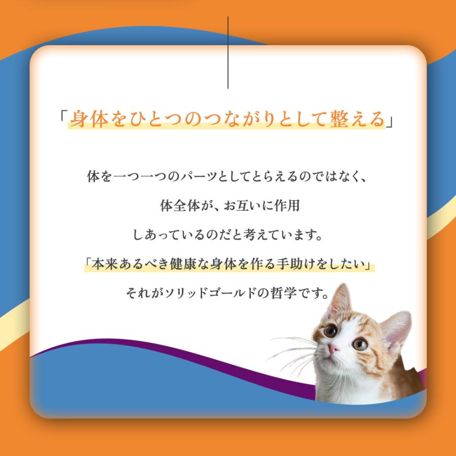 ソリッドゴールド インディゴムーン 2kg×2袋セット 猫用 猫 