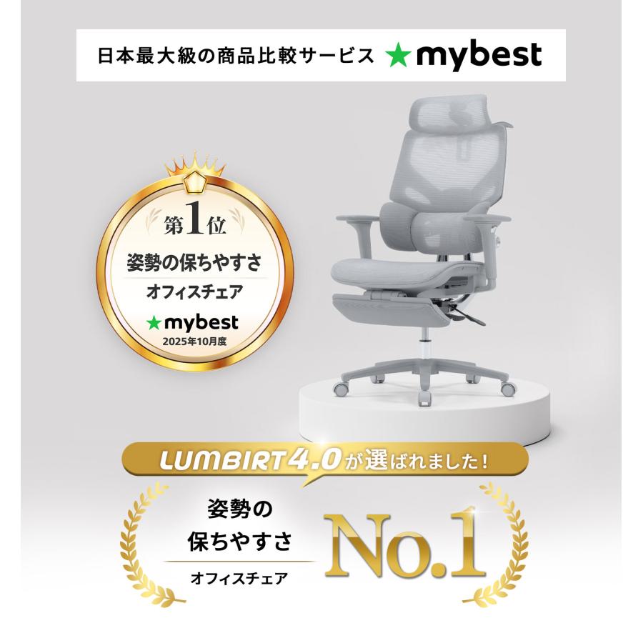 EastForce 多機能モデル LUMBIRT4.0 3ゾーンランバーサポート搭載 4D