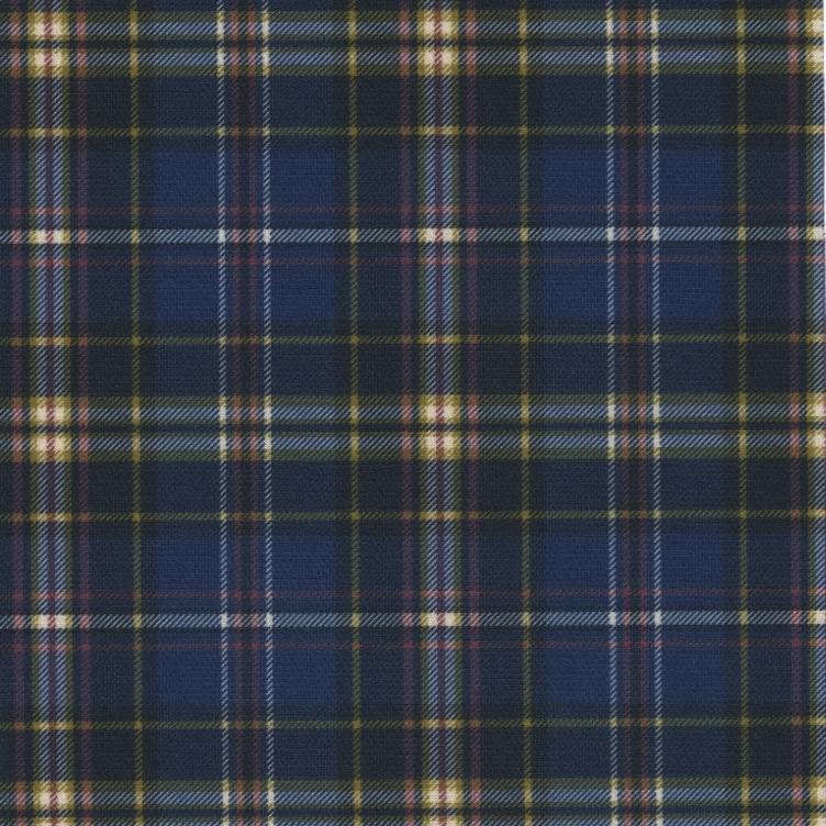 「作るプリント生地」コンフォートセンサー ブライトキング（プリント有効巾155cm）オリジナルプリント 生地 ジャージ ニット生地 |  | 07