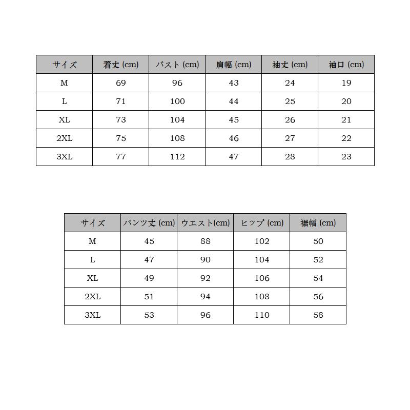 ペイズリー柄 セットアップ メンズ 夏物 上下セット ペーズリー柄