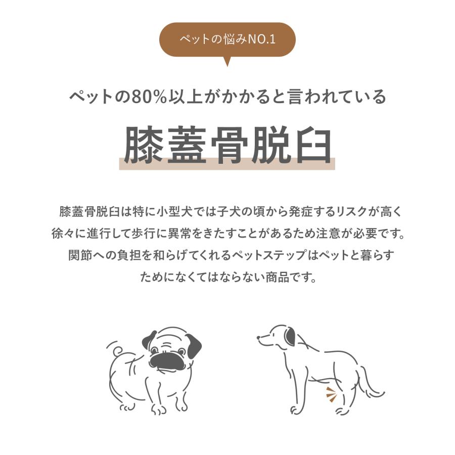 Takemehom ペットステップ マット クッション スライド型 ウェーブ型